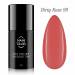 NANI gelinis lakas Amazing Line 5 ml - Dirty Rose