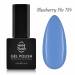 NANI gelinis lakas 6 ml - Blueberry Pie