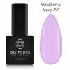 NANI gelinis lakas 6 ml - Blackberry Icing