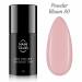NANI gelinis lakas Amazing Line 5 ml - Powder Bloom
