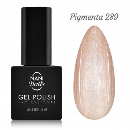 NANI gelinis lakas 6 ml - Pigmenta