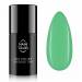 NANI gelinis lakas Amazing Line 5 ml - Grass green