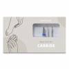 Kit de pontas de broca NANI – Carbide