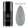 NANI gel lak Amazing Line 5 ml - Dusty Steel