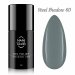 NANI gel lak Amazing Line 5 ml - Steel Shadow