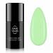 NANI gel lak Amazing Line 5 ml - Vivid Leaf