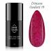 NANI gél lak Amazing Line 5 ml - Crimson Confetti